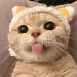 Roxana Ruelas's avatar